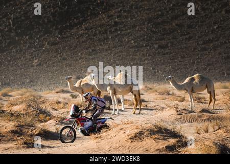 104 GERBER Jeremie (fra), TLDRacing, KTM, moto, Originals by Motul, action lors de l'étape 11 du Dakar 2024 le 18 janvier 2024 entre Al Ula et Yanbu, Arabie Saoudite - photo Antonin Vincent / DPPI Banque D'Images