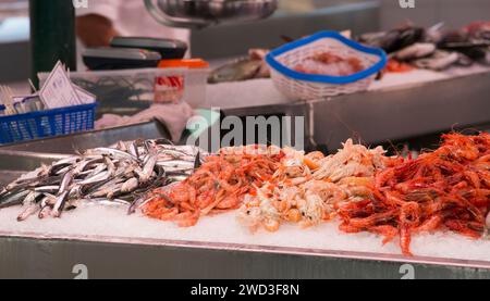 Ciutadella, Minorque, Îles Baléares, Espagne. Fruits de mer fraîchement pêchés exposés au Mercat des Peix sur la Plaça de la Llibertat. Banque D'Images