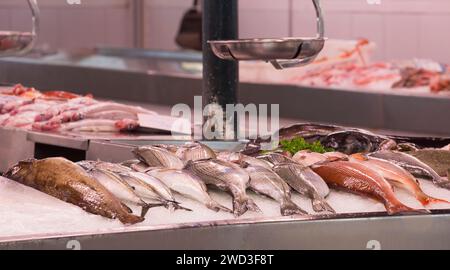 Ciutadella, Minorque, Îles Baléares, Espagne. Fruits de mer fraîchement pêchés exposés au Mercat des Peix sur la Plaça de la Llibertat. Banque D'Images