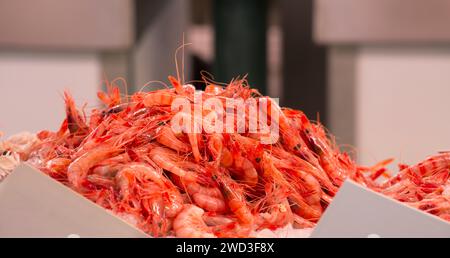 Ciutadella, Minorque, Îles Baléares, Espagne. Fruits de mer fraîchement pêchés exposés au Mercat des Peix sur la Plaça de la Llibertat. Banque D'Images