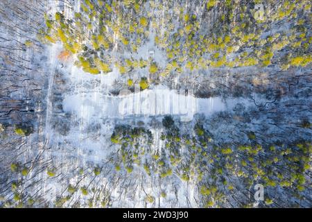 Vue de dessus du lac gelé couvert de neige dans la forêt d'hiver. Vue aérienne. Banque D'Images