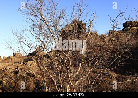 Dimmuborgir est une vaste zone de champs de lave de forme inhabituelle à l'est de Mývatn en Islande Banque D'Images