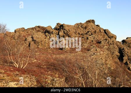 Dimmuborgir est une vaste zone de champs de lave de forme inhabituelle à l'est de Mývatn en Islande Banque D'Images