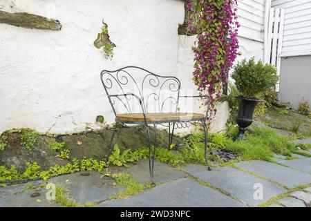 Panier suspendu plein de vigne cloche violette à l'extérieur d'une maison avec banc en fer forgé. Banque D'Images