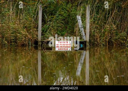 Niveau élevé de la rivière Waveney à Beccles, Suffolk, Angleterre après de fortes pluies, couvrant presque le panneau 'Private No Mooring' Banque D'Images