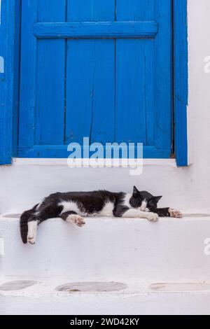 Chat noir et blanc endormi sur des marches peintes en blanc devant une porte en bois bleu, sur l'île grecque Banque D'Images