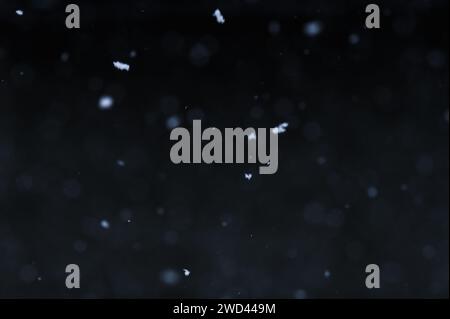 Chutes de flocons de neige sur fond de ciel nocturne, isolées pour la post-production et superposées dans l'éditeur graphique. Bokeh de neige blanche sur fond noir. Banque D'Images