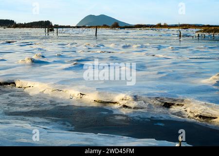 Glace sur la rivière Samish pendant une froide journée d'hiver dans le nord-ouest Pacifique des États-Unis Banque D'Images