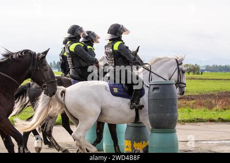 Police anti-émeute à cheval. Des policiers de la ville de République tchèque sont montés sur des chevaux à cheval dans une foule de manifestants lors d'une manifestation. Banque D'Images