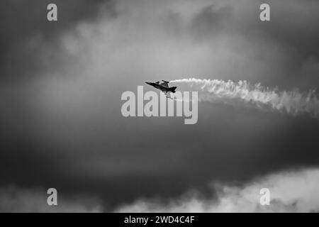 JAS-39C Gripen exploité par l'armée de l'air hongroise (numéro d'enregistrement 31). Saab Gripen Fighter jet photographie dramatique d'un exercice d'attaque à grande vitesse dans l'UE Banque D'Images