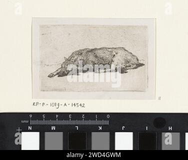 Chien endormi, Jan Weissenbruch, 1837 - 1880 imprimer Un chien dort par terre. Il étendit son front droit. Document de la Haye (peut-être). chien de gravure. dormir sur le sol Banque D'Images