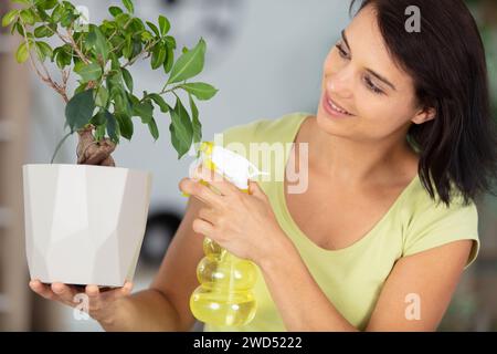 une jeune femme d'affaires vaporise des plantes dans des pots de fleurs Banque D'Images