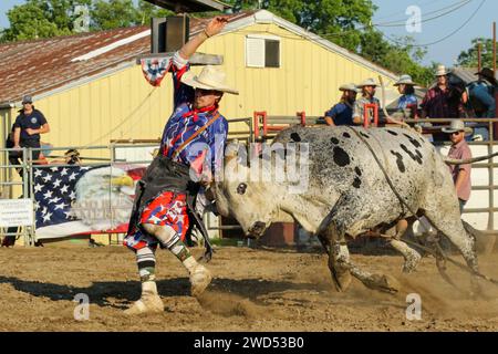 Le taureau attrape le clown de rodéo. Petite ville hebdomadaire Bull Riding comme un sport. Fox Hollow Rodeo. Waynesville, Dayton, Ohio, États-Unis. Banque D'Images