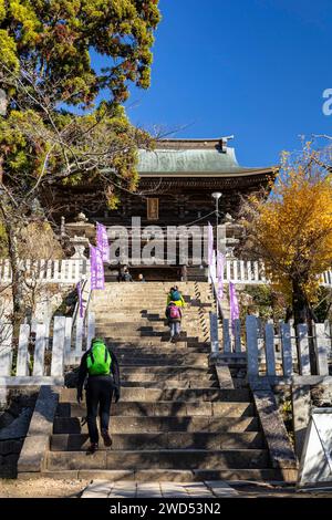Mont Tsukuba jinja (sanctuaire), étapes de la tour principale de la porte 'sanmon', trekking Tsukubasan, Tsukuba, Ibaraki, Japon, Asie de l'est, Asie Banque D'Images