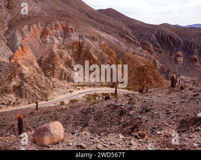 Paysage avec cactus à Ruta 51 qui relie Salta à San Antonio de Los Cobres, province de Salta, Argentine Banque D'Images