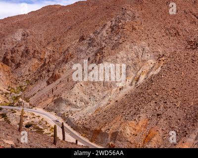 Paysage avec cactus à Ruta 51 qui relie Salta à San Antonio de Los Cobres, province de Salta, Argentine Banque D'Images