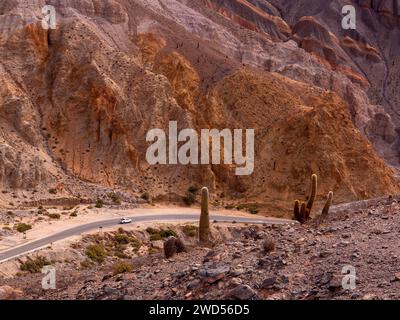 Paysage avec cactus à Ruta 51 qui relie Salta à San Antonio de Los Cobres, province de Salta, Argentine Banque D'Images