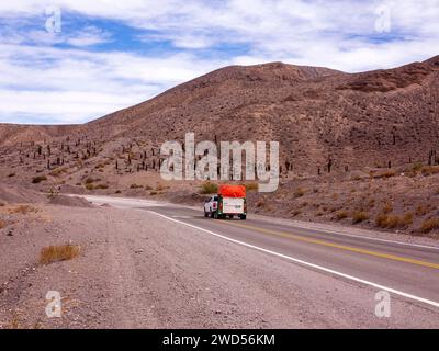 Paysage à Ruta 51 qui relie Salta à San Antonio de Los Cobres, province de Salta, Argentine Banque D'Images