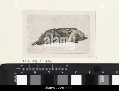 Chien endormi, Jan Weissenbruch, 1837 - 1880 imprimer Un chien dort par terre. Il étendit son front droit. Document de la Haye (peut-être). chien de gravure. dormir sur le sol Banque D'Images