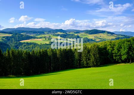 Paysage dans l'Yspertal, Waldviertel, Basse-Autriche, Autriche Banque D'Images
