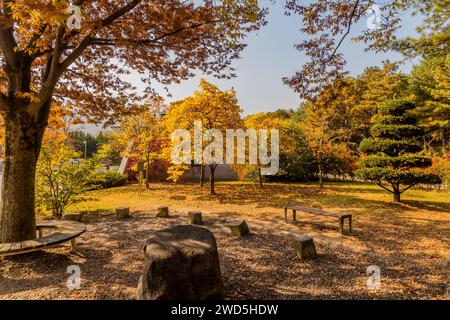 Bancs de parc autour du grand rocher sous l'arbre d'ombre avec des arbres aux couleurs d'automne en arrière-plan, Corée du Sud, Corée du Sud, Corée du Sud Banque D'Images