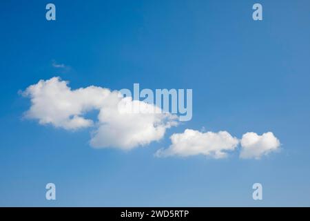 Des nuages blancs molletonnés ornent le ciel bleu Banque D'Images