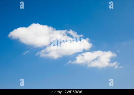 Des nuages blancs molletonnés ornent le ciel bleu Banque D'Images