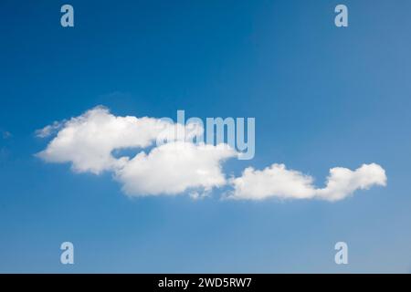 Des nuages blancs molletonnés ornent le ciel bleu Banque D'Images