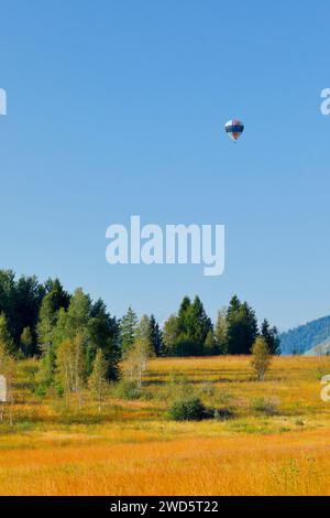 Montgolfière au-dessus de l'amarrage de Rothenthurm dans le canton de Schyz, Suisse Banque D'Images