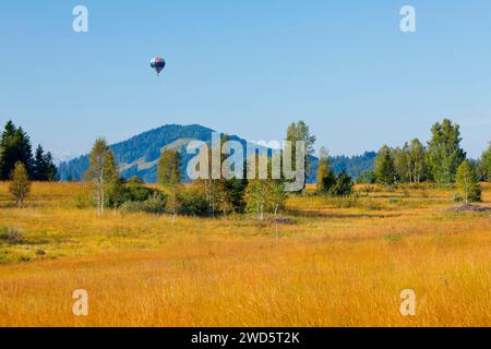 Montgolfière au-dessus de l'amarrage de Rothenthurm dans le canton de Schyz, Suisse Banque D'Images