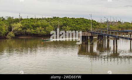 Balikpapan, Indonésie - 14 janvier 2024. La rivière Wain est dans la ville de Balikpapan, et il y a une forêt de mangroves à proximité. Banque D'Images