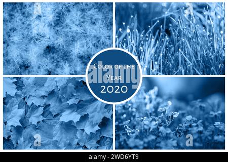 Concept de la couleur tendance de l'année 2020 bleu classique. Collage quatre saisons : hiver, printemps, été, automne Banque D'Images