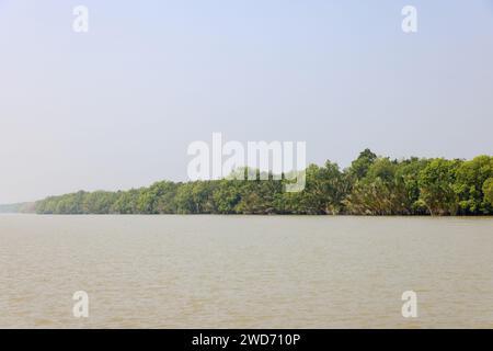 Le parc national des Sundarbans est une grande forêt côtière de mangroves, partagée par l'Inde et le Bangladesh. Cette photo a été prise du Bangladesh. Banque D'Images