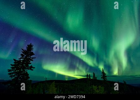 Une aurore boréale impressionnante illuminant un ciel nocturne à Dawson City, territoire du Yukon, Canada Banque D'Images