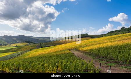 Radda dans le Chianti paysage, vignobles en automne. Toscane, Italie Europe. Banque D'Images