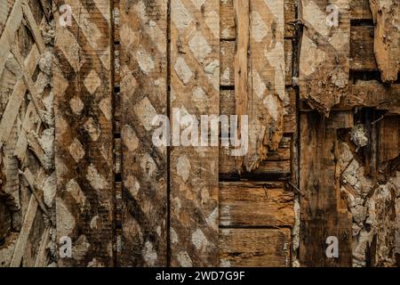 Vieux mur en bois endommagé par des termites. Vue rapprochée. Mur pourri. Vraie photo. Banque D'Images