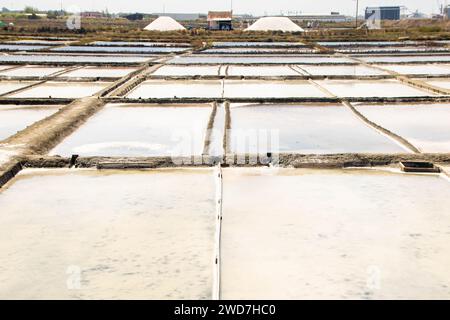 Salinas de Aveiro, salines d'Aveiro Banque D'Images