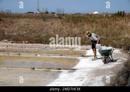 Salinas de Aveiro, salines d'Aveiro Banque D'Images