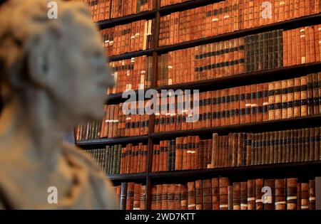 Dublin, Irlande. 16 janvier 2024. Une sculpture et des livres sont vus dans la vieille bibliothèque du Trinity College Dublin à Dublin, Irlande, le 16 janvier 2024. Crédit : Li Ying/Xinhua/Alamy Live News Banque D'Images