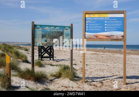 Parc naturel de Salinas y Arenales de San Pedro del Pinatar. Murcie, Espagne. Banque D'Images