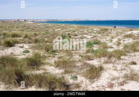 Parc naturel de Salinas y Arenales de San Pedro del Pinatar. En bas la Manga del Mar Menor. Murcie, Espagne. Banque D'Images