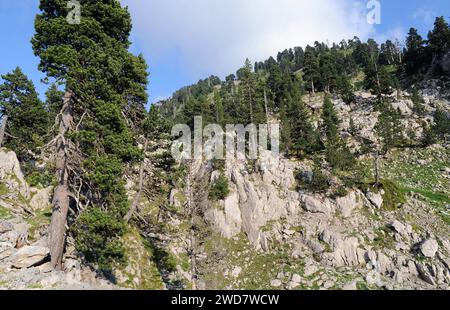 Réserve naturelle du massif de Larra-Belagua. Navarre, Espagne. Banque D'Images