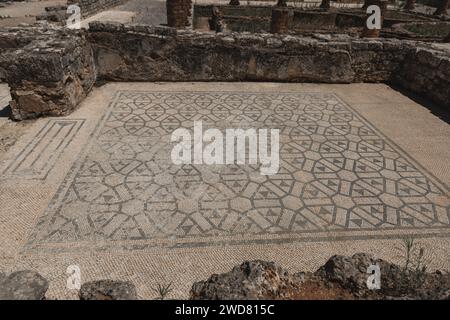 Mosaïques trouvées dans les explorations archéologiques des ruines romaines de Conimbriga, Portugal. Banque D'Images