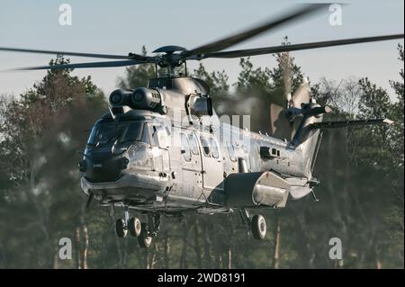 Un hélicoptère militaire Eurocopter AS532 Cougar du 300e escadron de la Rpyal Netherlands Air Force. Banque D'Images