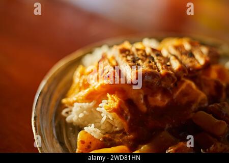 Curry de côtelettes de porc frites avec riz, style culinaire japonais Banque D'Images