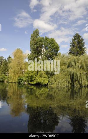 Le Loing à Moret sur Loing Banque D'Images