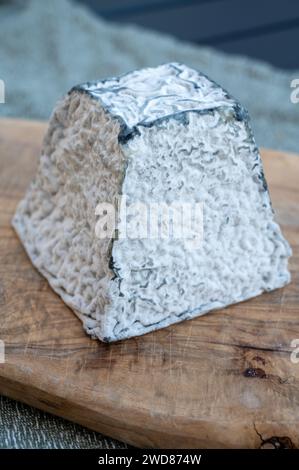 Collection de fromages, fromage de pyramide de Pouligny français à base ...