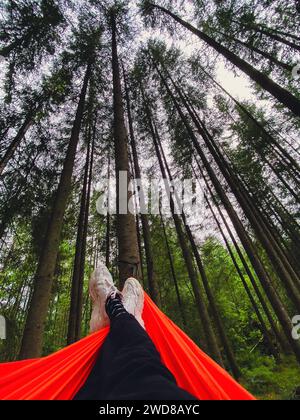 pov femme dans hamac dans la forêt de pins Banque D'Images