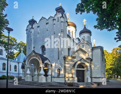 Cathédrale de l'Annonciation de la Bienheureuse Vierge Marie au parc Ramybes (ancien cimetière) à Kaunas. Lituanie Banque D'Images