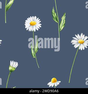 Motif sans couture aquarelle avec illustration de fleurs blanches de Marguerite isolée sur fond blanc. Camomille. Détail des produits de beauté et ensemble botanique, c Banque D'Images